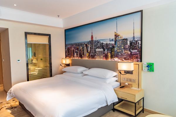 维也纳智好酒店(拉萨布达拉宫广场店)