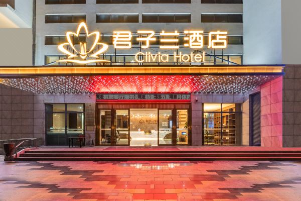 君子兰酒店(?？谌赵鹿愠∶馑暗?