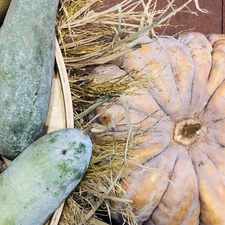 卡扣结构设计-酒店卡扣结构品牌vi设计