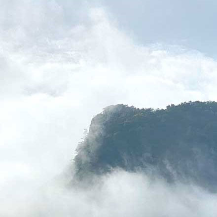 酒店最新vi设计