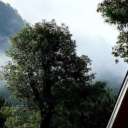 钢结构夹层设计-酒店钢结构夹层品牌vi设计