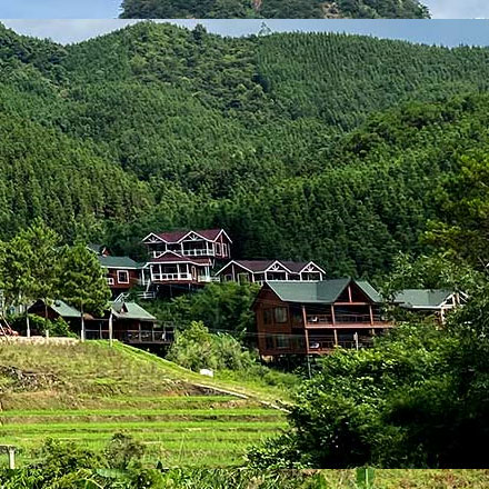 成都五星级品牌设计如何打造品牌圣所终极指南