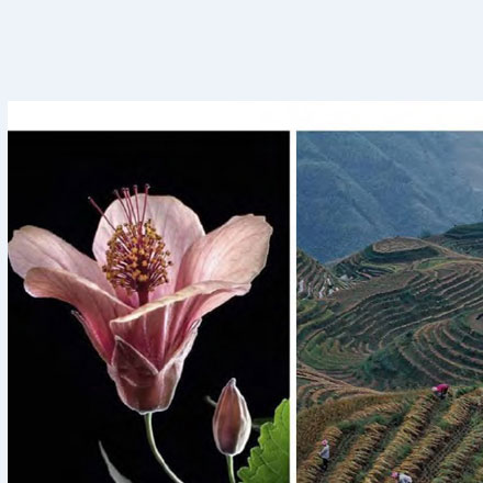 工业酒店vi设计